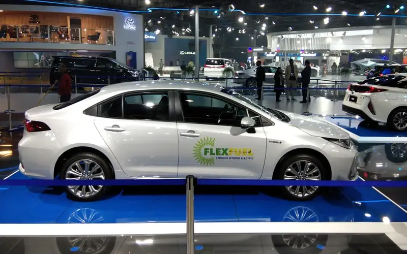 Coralla Flex-Exterior-25